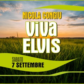 Viva ELVIS! 70 MUSICISTI sul PALCO Viva ELVIS! 70 MUSICISTI sul PALCO