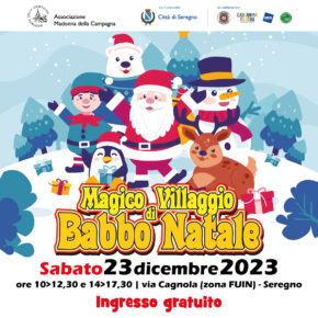 che NATALE a SEREGNO! che NATALE a SEREGNO!